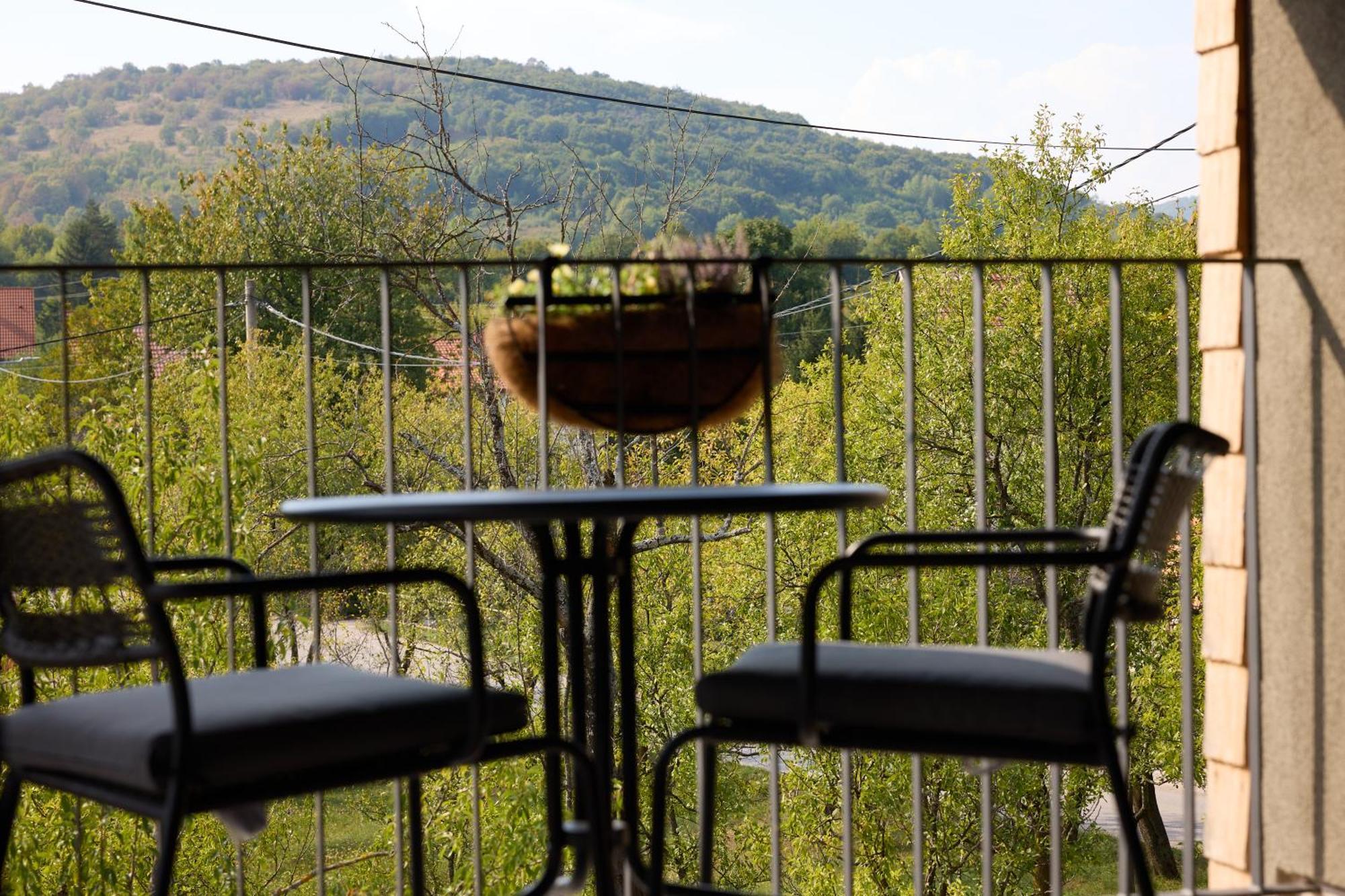 Plitvice Nest 2 Apartment Rakovica Exterior photo